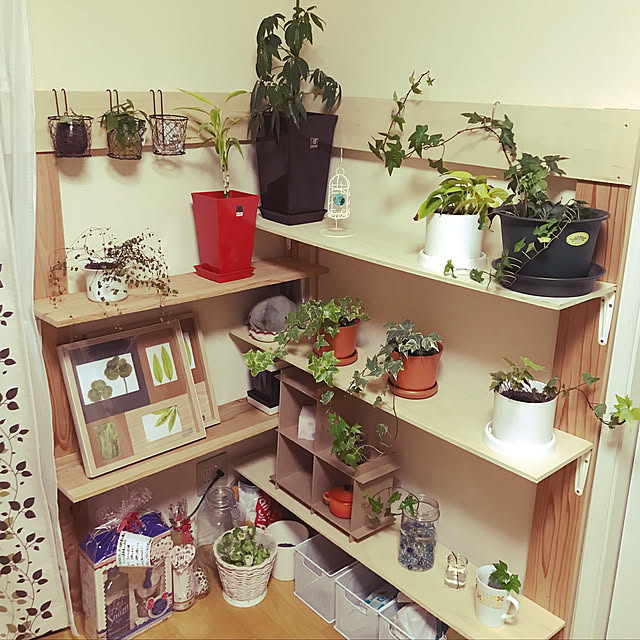 壁/天井/DIY/100均/観葉植物/ガーデニングのインテリア実例 - 2018-04-12 22:01:46