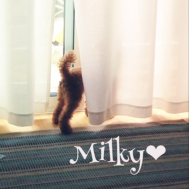 one8さんの実例写真