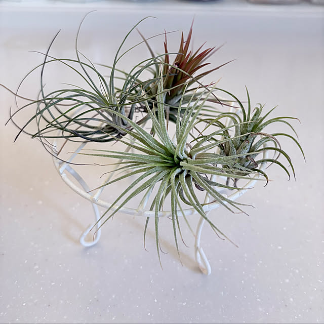 bestwishes.ryokoさんの部屋