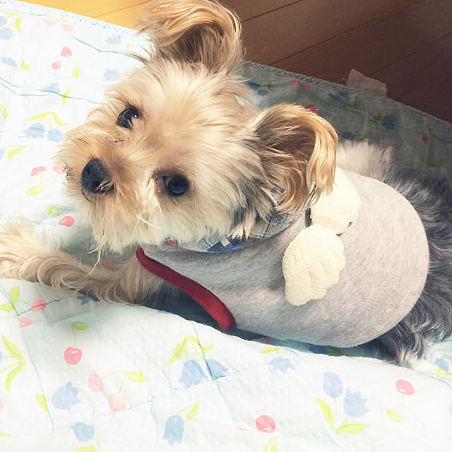 marcheさんの実例写真