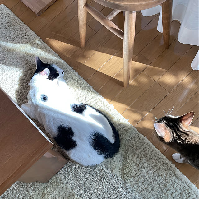 nobikoさんの実例写真