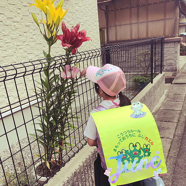tamagoさんの実例写真
