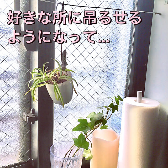 funiさんの実例写真