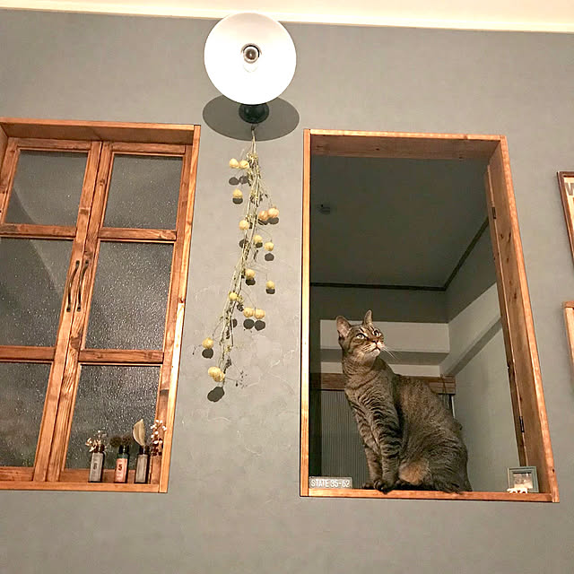 beansさんの実例写真