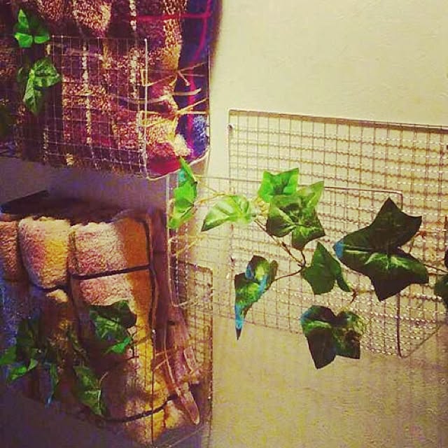 MISATOさんの実例写真