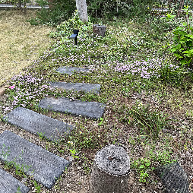 muraさんの実例写真