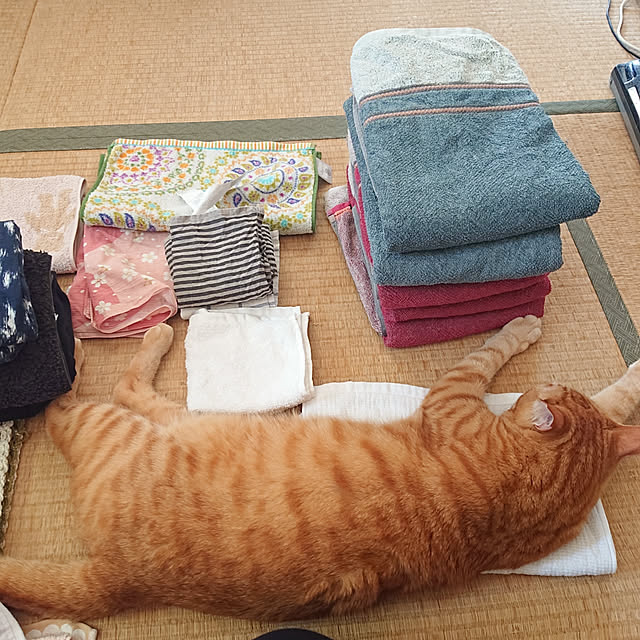 okyosan101さんの実例写真