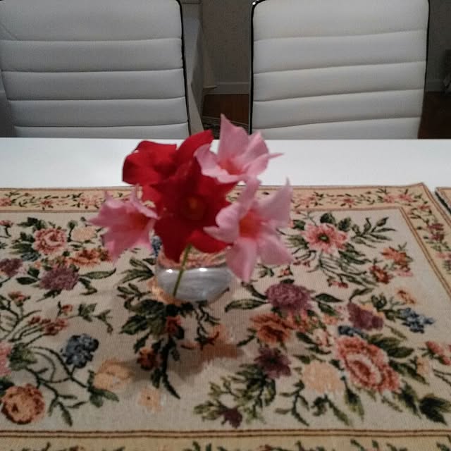 hasano_jpさんの実例写真