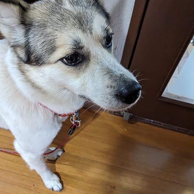 asaさんの実例写真