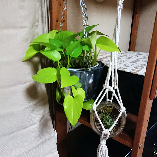minchiさんの実例写真