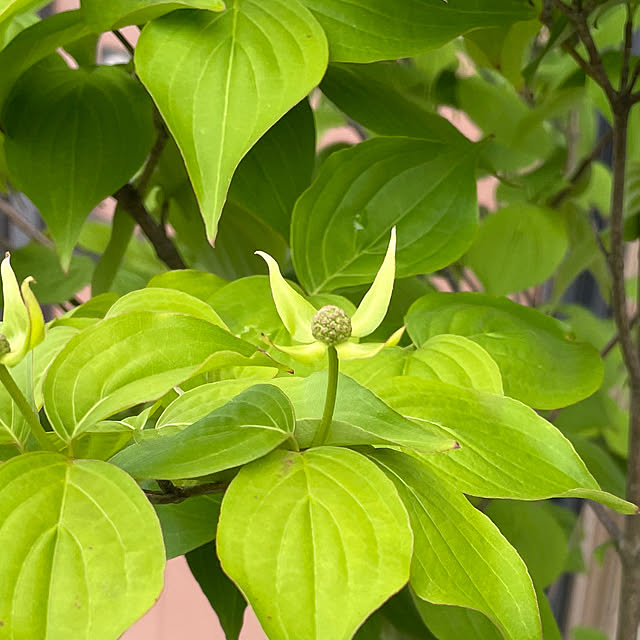 kakoさんの部屋