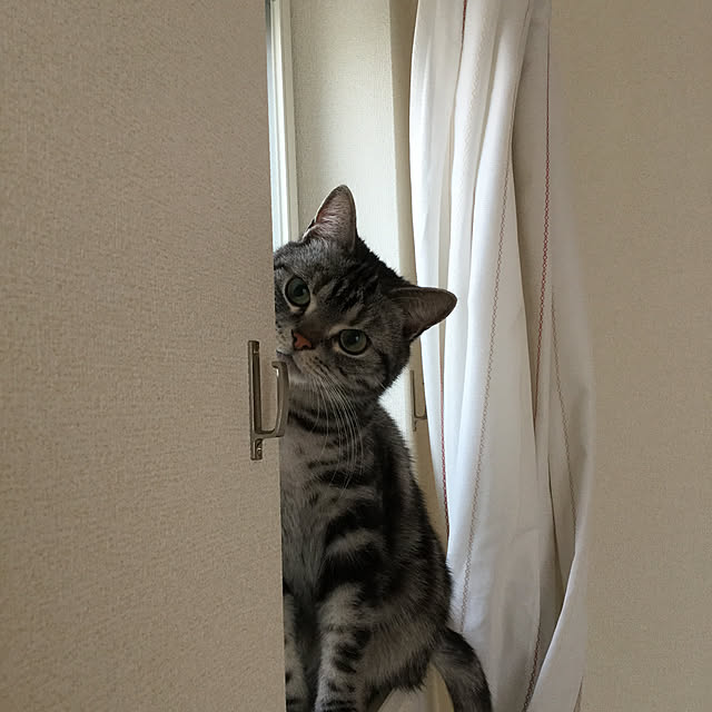 richanさんの実例写真