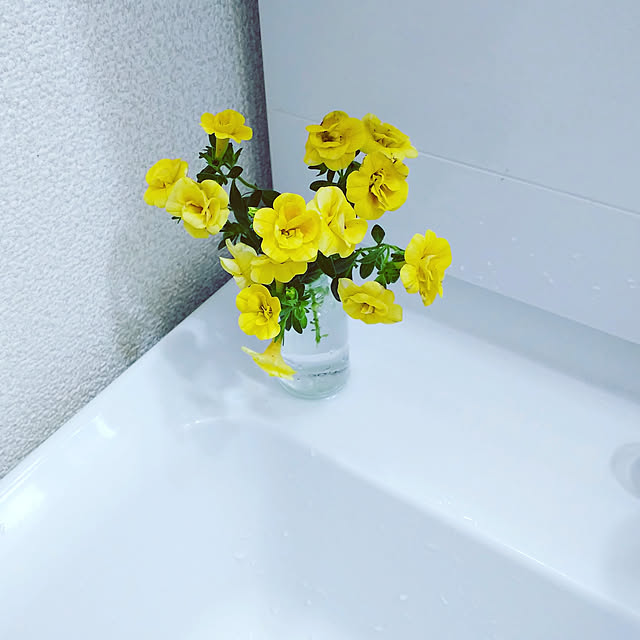 katuさんの実例写真