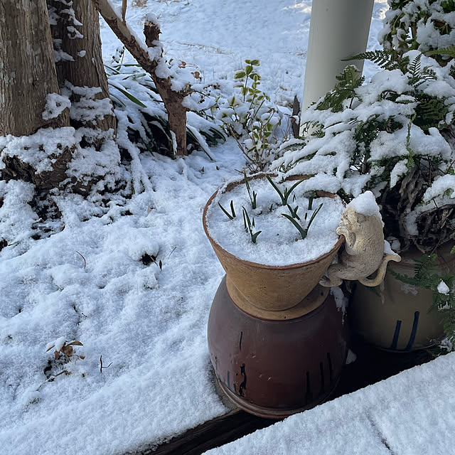 nobikoさんの部屋