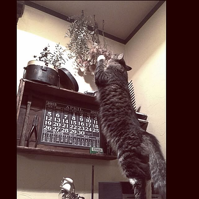jnkaiさんの実例写真