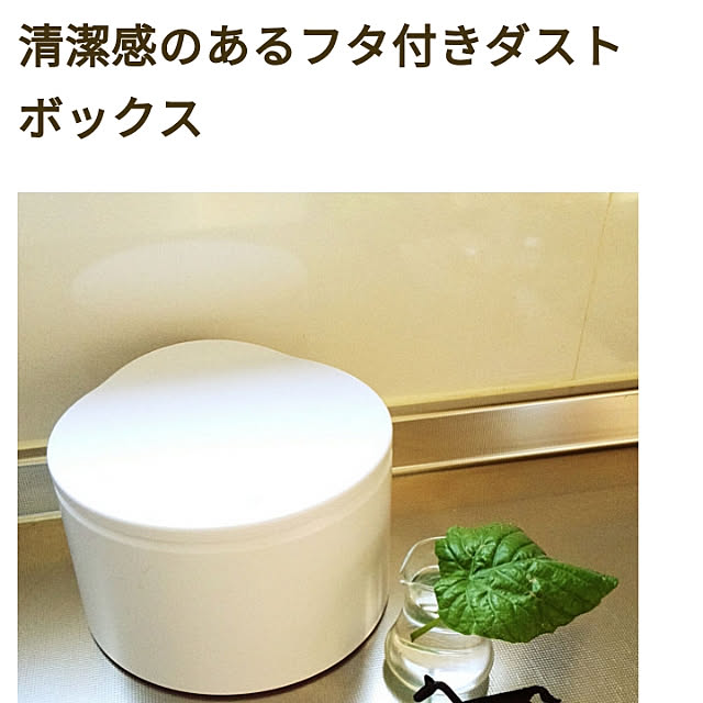 Renさんの実例写真