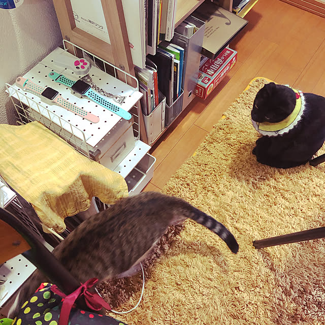 jijiさんの実例写真