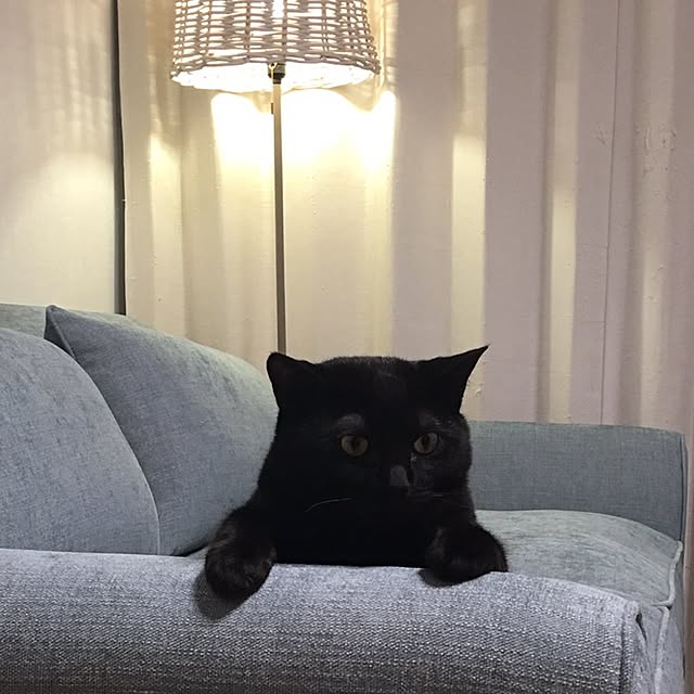 HRMLRさんの実例写真