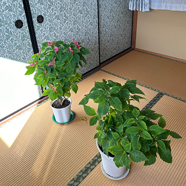 Fuku222さんの部屋