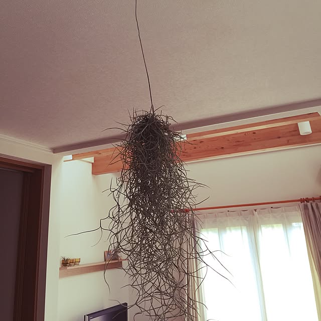 kayusaさんの実例写真