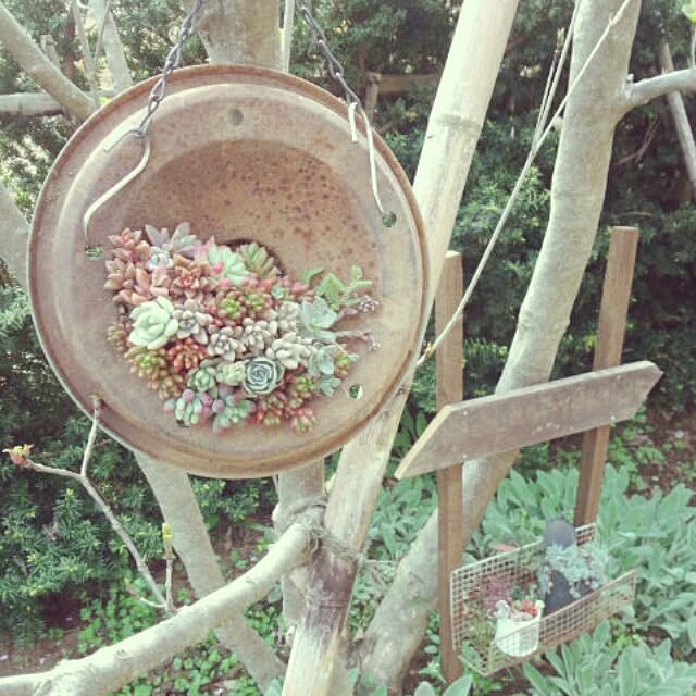 cache-cacheさんの実例写真