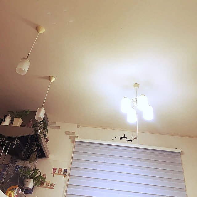 Toyomiさんの実例写真