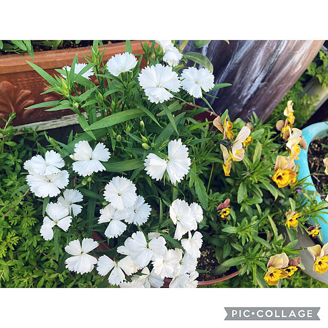 CoCo0617さんの部屋
