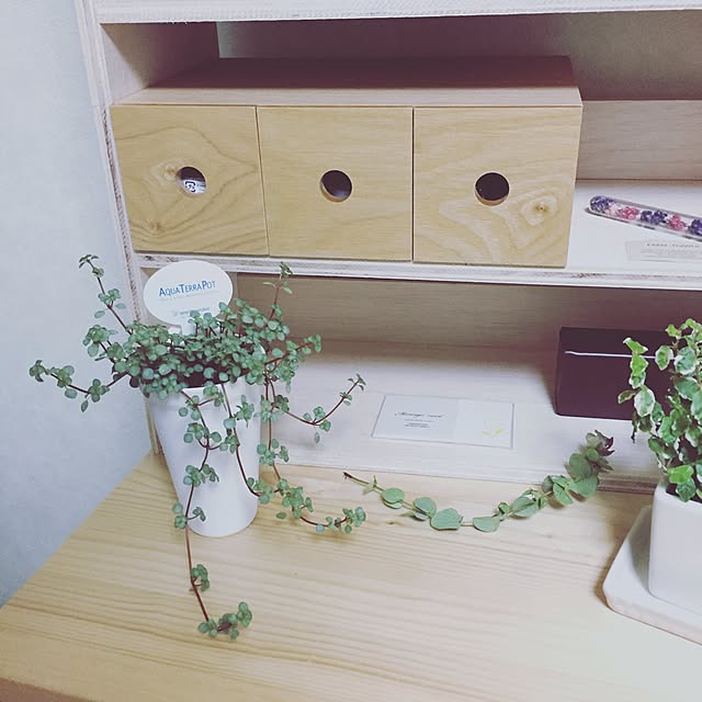 ayakaさんの実例写真