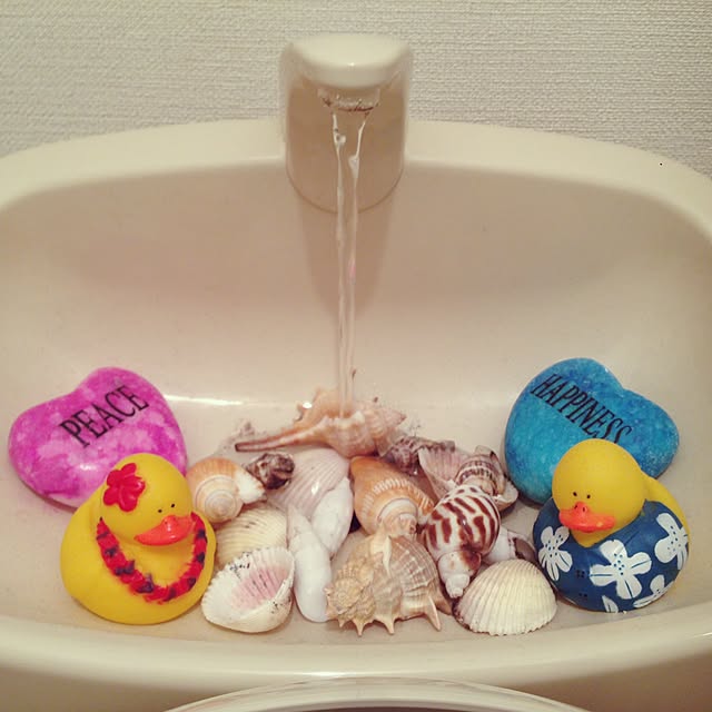 Ayamiさんの実例写真