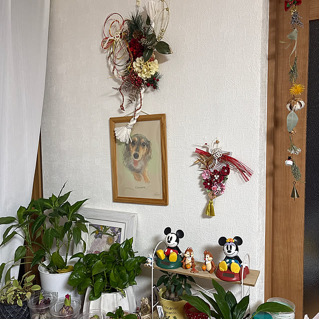 kiyoさんの実例写真