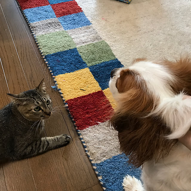pepeさんの実例写真