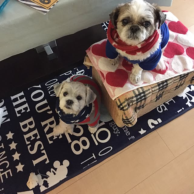 emiさんの実例写真