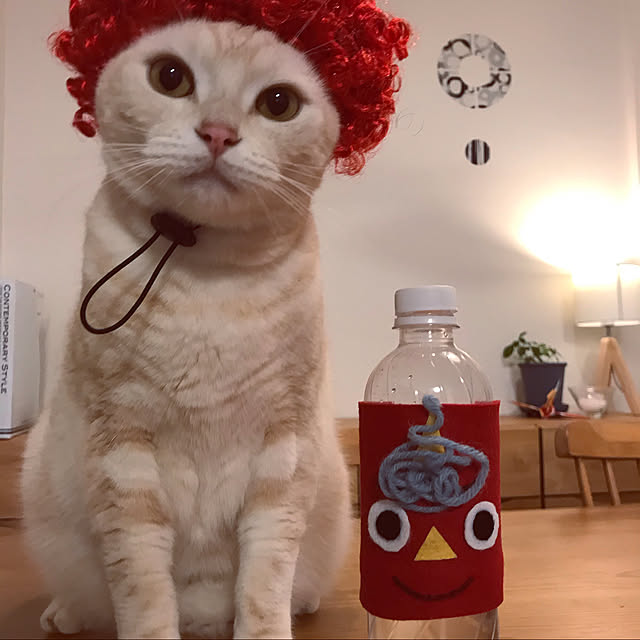 hiyupan88さんの実例写真