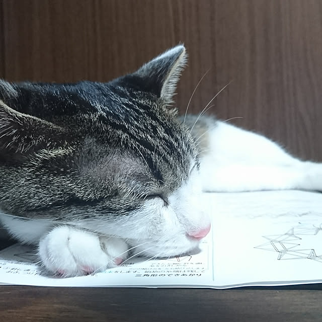 kiraさんの実例写真