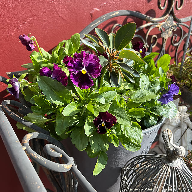 AYUKOさんの部屋