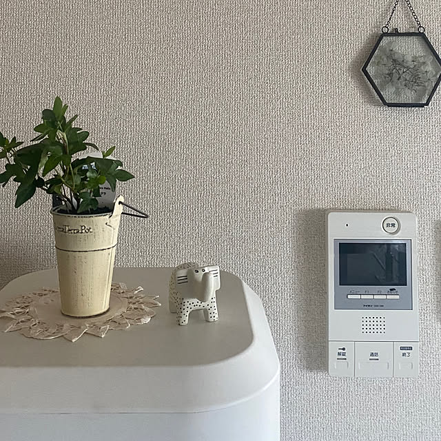 mamimoさんの部屋