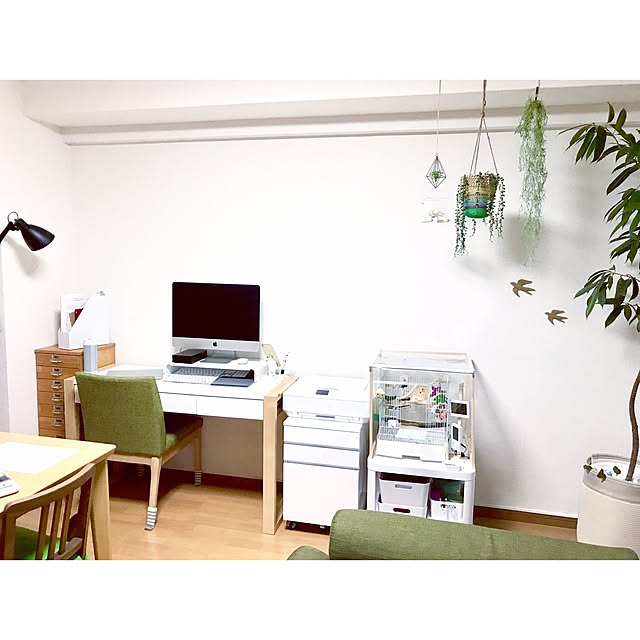 shirokinaさんの実例写真
