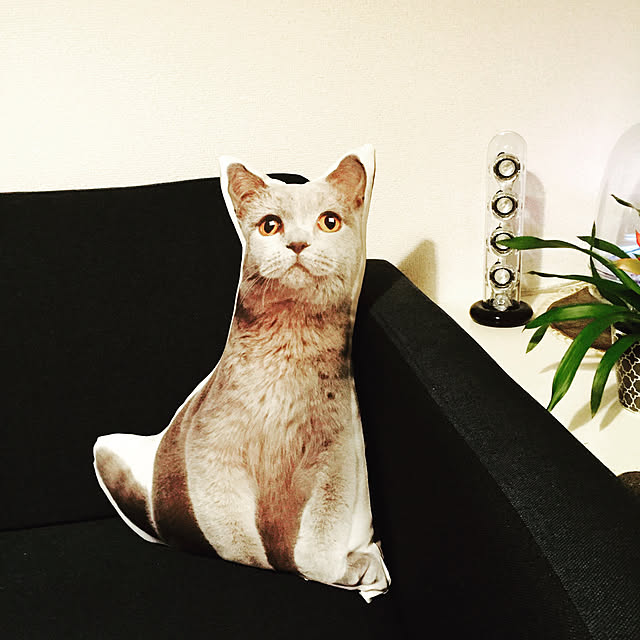 Kazumiさんの実例写真