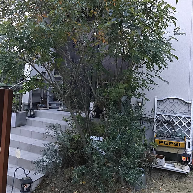 moonさんの実例写真