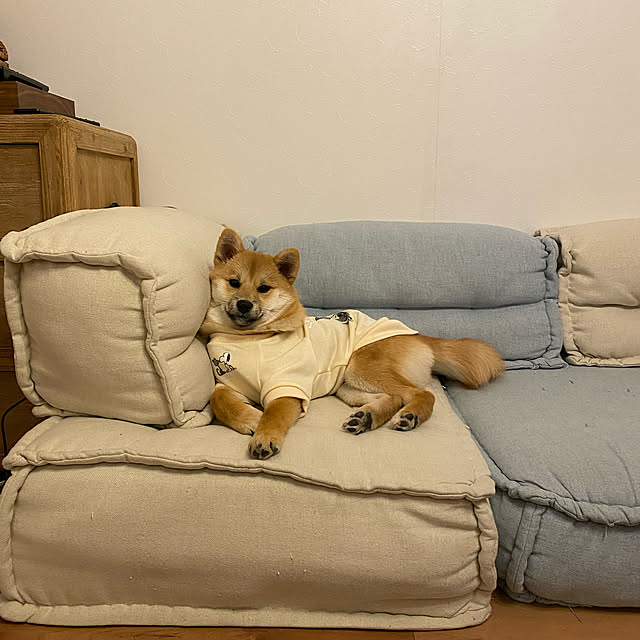 poniさんの実例写真