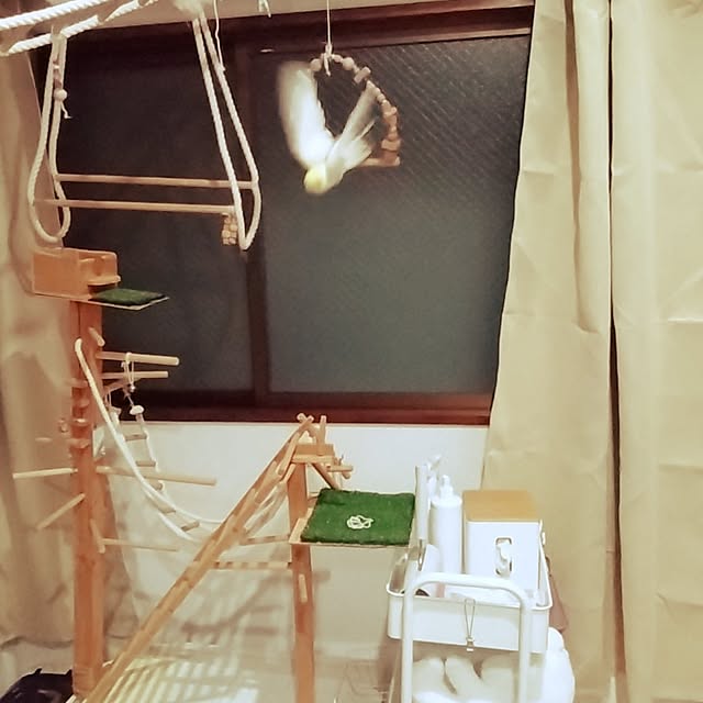 toratanさんの部屋