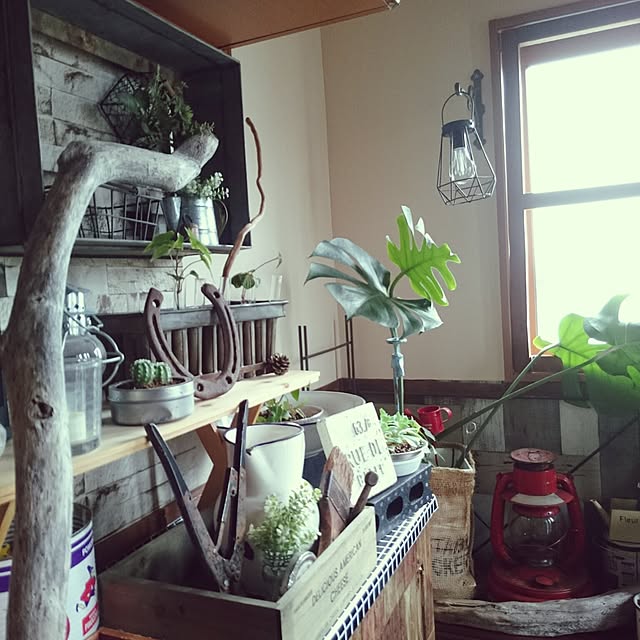 tikuwaさんの実例写真
