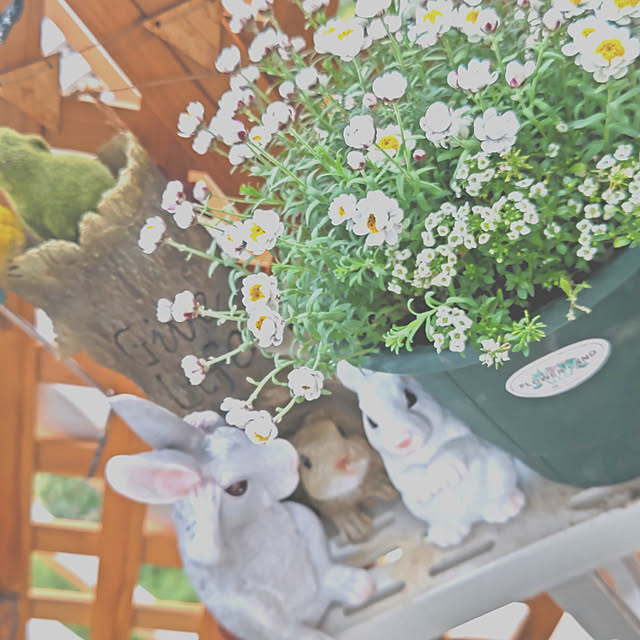mariaさんの実例写真