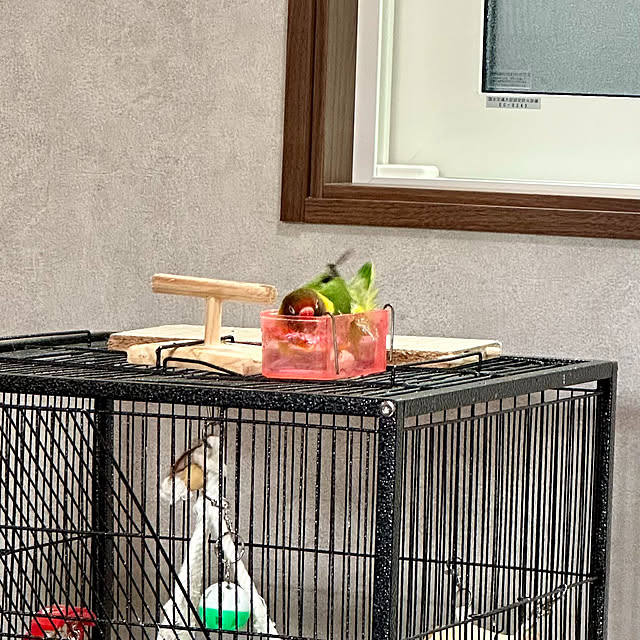 mitsukiさんの部屋