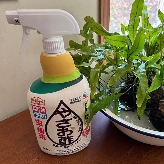67さんの実例写真
