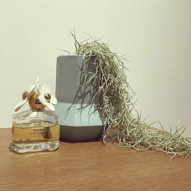 kikuuuさんの実例写真