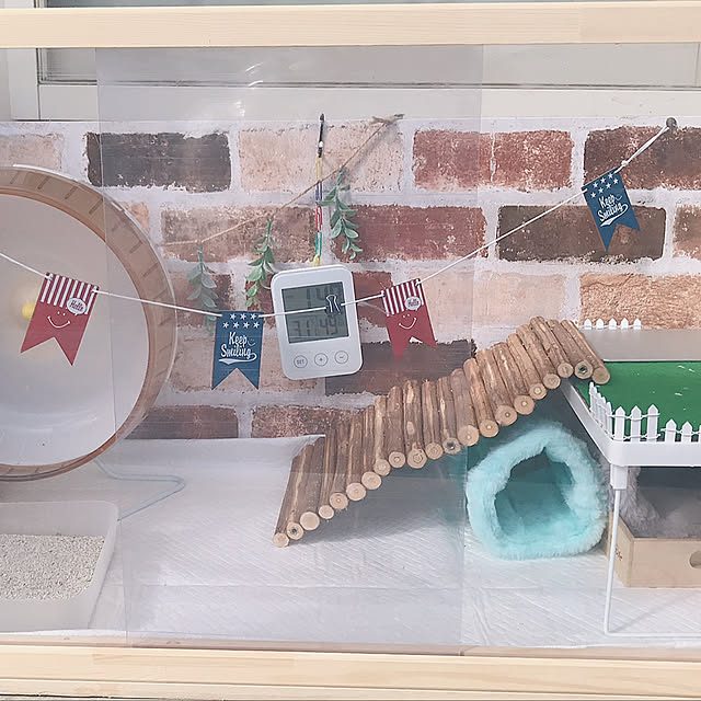 mameさんの実例写真