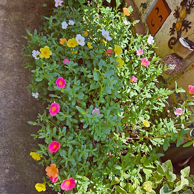 mocomocoさんの部屋