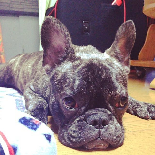 smileAKKさんの実例写真