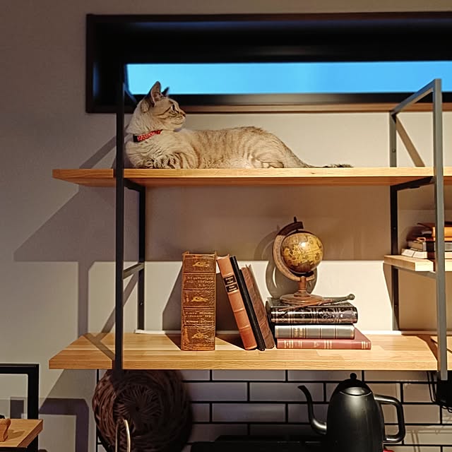 Atelier_tamakiさんの部屋